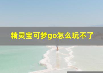 精灵宝可梦go怎么玩不了