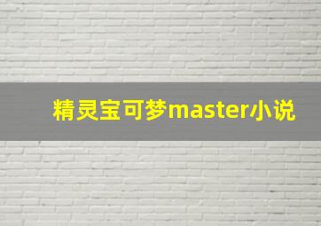 精灵宝可梦master小说