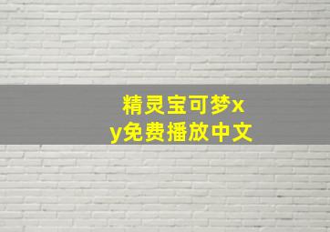 精灵宝可梦xy免费播放中文