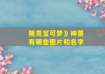 精灵宝可梦》神兽有哪些图片和名字