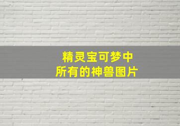 精灵宝可梦中所有的神兽图片