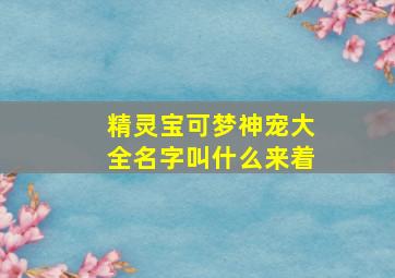 精灵宝可梦神宠大全名字叫什么来着