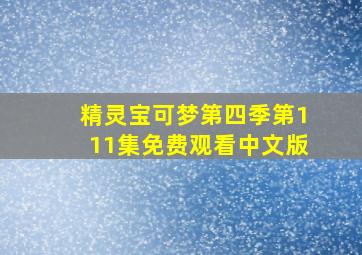 精灵宝可梦第四季第111集免费观看中文版