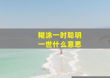 糊涂一时聪明一世什么意思