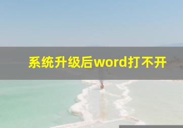 系统升级后word打不开