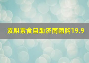 素耕素食自助济南团购19.9