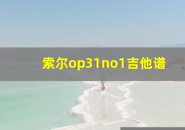 索尔op31no1吉他谱