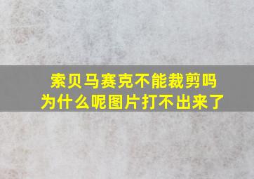 索贝马赛克不能裁剪吗为什么呢图片打不出来了