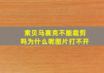 索贝马赛克不能裁剪吗为什么呢图片打不开