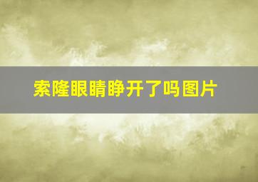 索隆眼睛睁开了吗图片