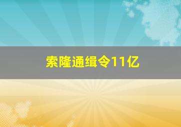 索隆通缉令11亿