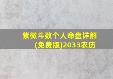 紫微斗数个人命盘详解(免费版)2033农历