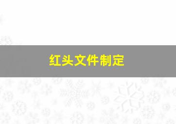 红头文件制定