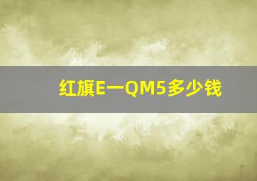 红旗E一QM5多少钱