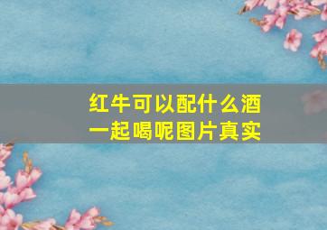 红牛可以配什么酒一起喝呢图片真实