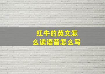 红牛的英文怎么读语音怎么写