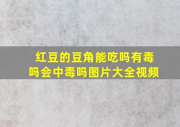 红豆的豆角能吃吗有毒吗会中毒吗图片大全视频