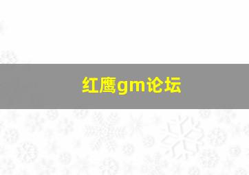 红鹰gm论坛