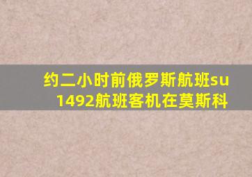 约二小时前俄罗斯航班su1492航班客机在莫斯科