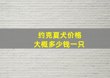 约克夏犬价格大概多少钱一只