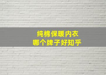 纯棉保暖内衣哪个牌子好知乎