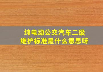 纯电动公交汽车二级维护标准是什么意思呀