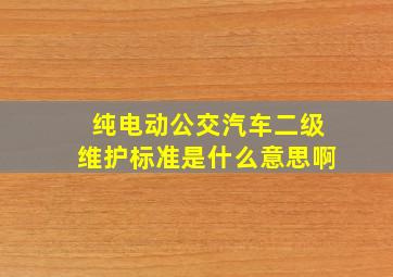 纯电动公交汽车二级维护标准是什么意思啊