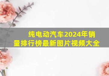 纯电动汽车2024年销量排行榜最新图片视频大全