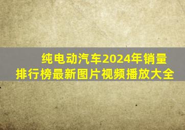 纯电动汽车2024年销量排行榜最新图片视频播放大全