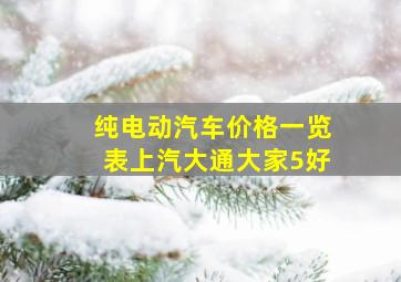 纯电动汽车价格一览表上汽大通大家5好