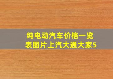 纯电动汽车价格一览表图片上汽大通大家5