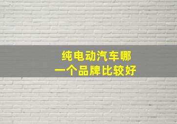 纯电动汽车哪一个品牌比较好