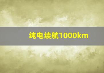 纯电续航1000km