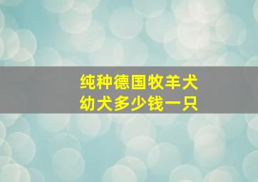 纯种德国牧羊犬幼犬多少钱一只