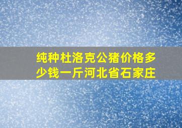 纯种杜洛克公猪价格多少钱一斤河北省石家庄