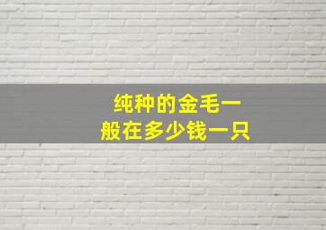 纯种的金毛一般在多少钱一只