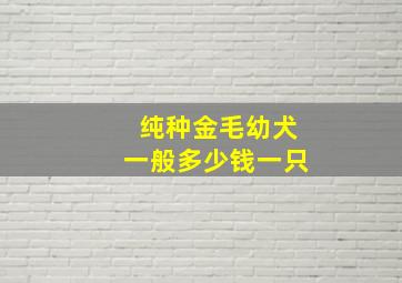 纯种金毛幼犬一般多少钱一只