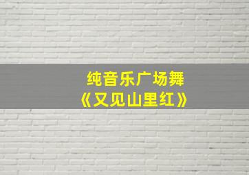 纯音乐广场舞《又见山里红》