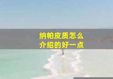 纳帕皮质怎么介绍的好一点