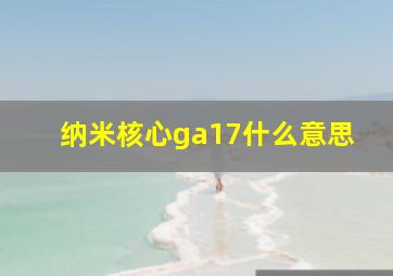 纳米核心ga17什么意思