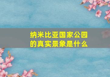 纳米比亚国家公园的真实景象是什么