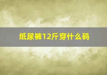 纸尿裤12斤穿什么码