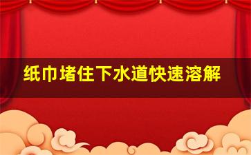 纸巾堵住下水道快速溶解