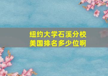 纽约大学石溪分校美国排名多少位啊