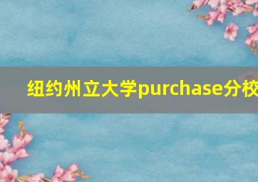 纽约州立大学purchase分校