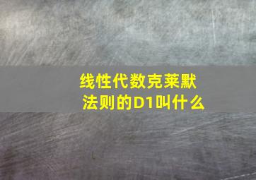 线性代数克莱默法则的D1叫什么