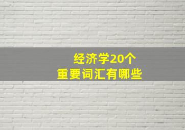 经济学20个重要词汇有哪些