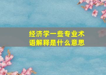 经济学一些专业术语解释是什么意思