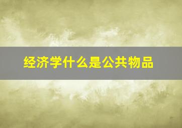 经济学什么是公共物品