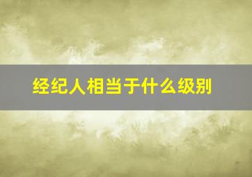 经纪人相当于什么级别